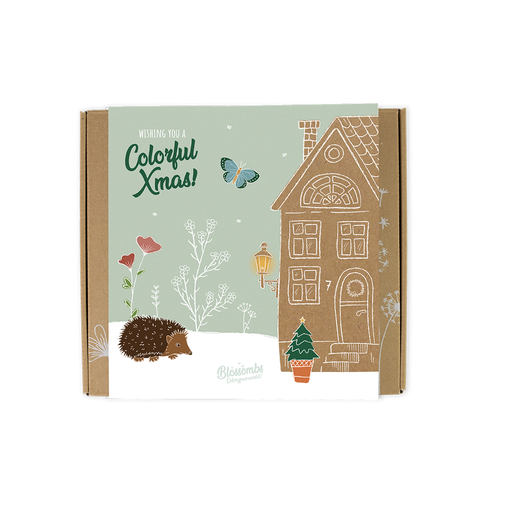 Gift Box Medium met 9 zaadbommetjes - Colorful Xmas