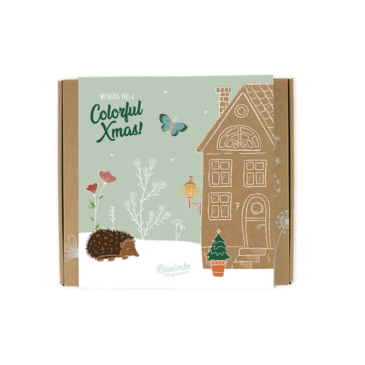 Gift Box Medium met 9 zaadbommetjes - Colorful Xmas