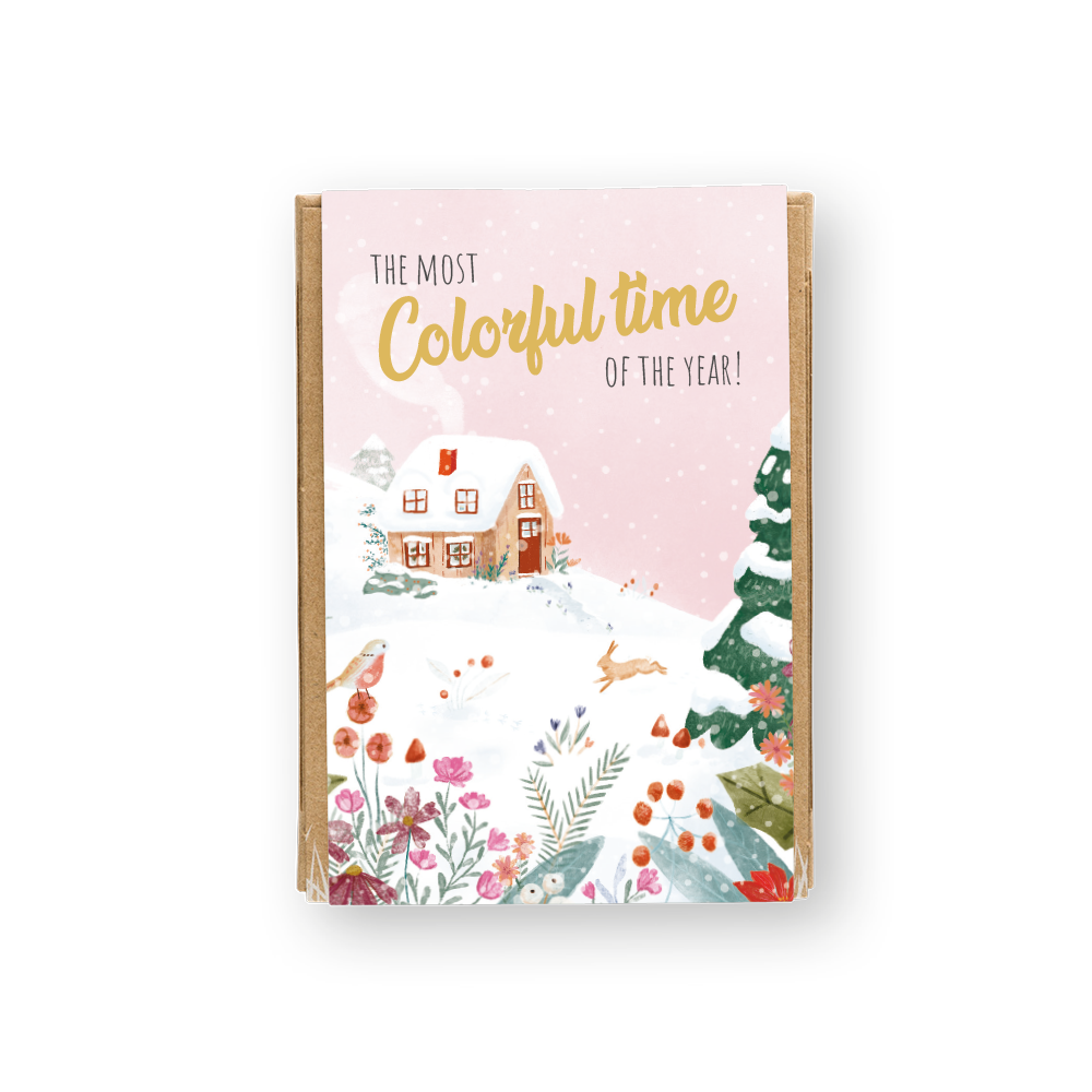 Gift Box Mini met 4 zaadbommetjes - The Most Colorful Time