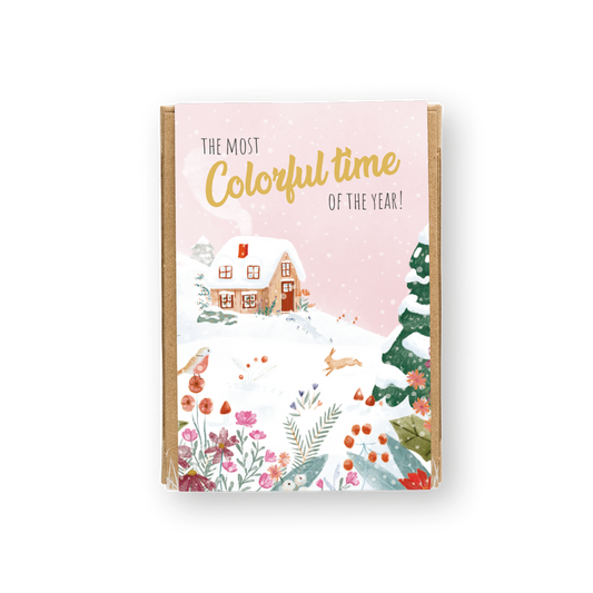 Gift Box Mini met 4 zaadbommetjes - The Most Colorful Time