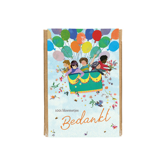 Gift Box Mini met 4 zaadbommetjes - Air Balloon