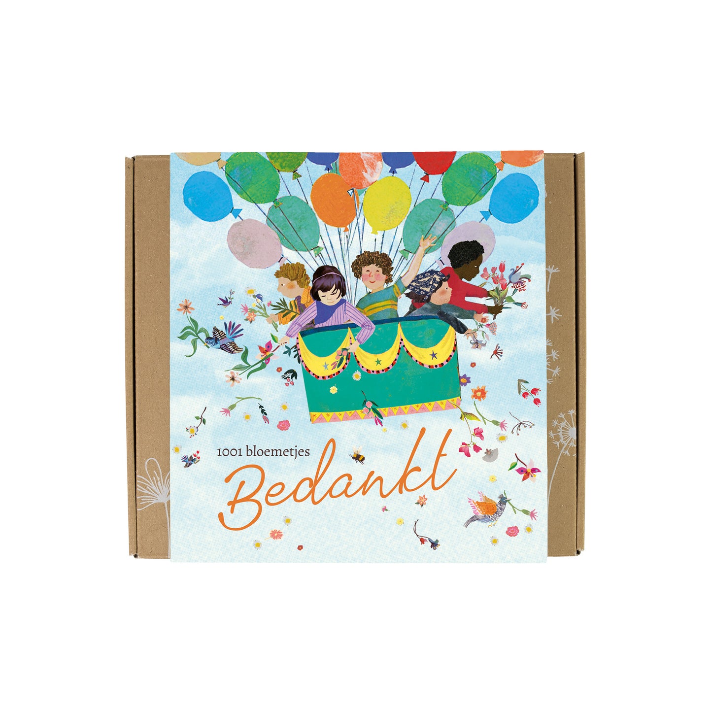 Gift Box Medium met 9 zaadbommetjes - Air Balloon