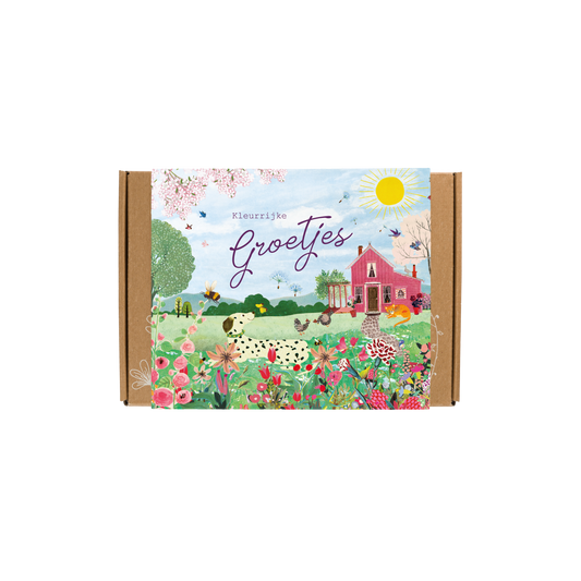 Gift Box Small met 7 zaadbommetjes - Pink House