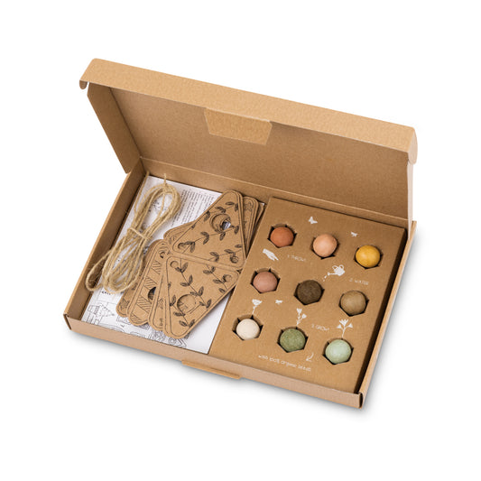 Gift Box Large met 9 zaadbommetjes en DIY slinger - Hoera, het is feest!